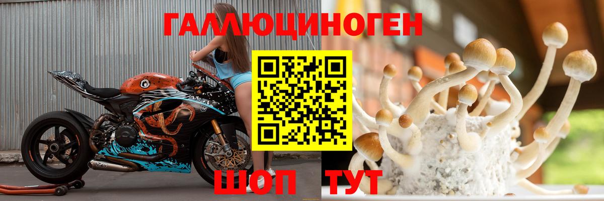 Верхняя Пышма  Псилоцибиновые грибы мицелий  Вход с VPN 